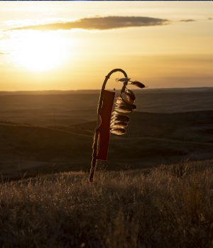 REBA Member Highlight: Standing Rock Sioux Tribe
