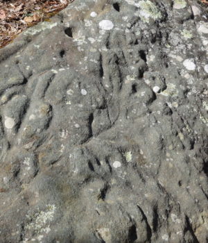 Ancient Native American Site Is Defaced in Georgia Forest